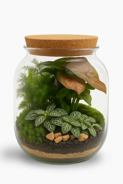 Terrarium Green Mix Simo 002