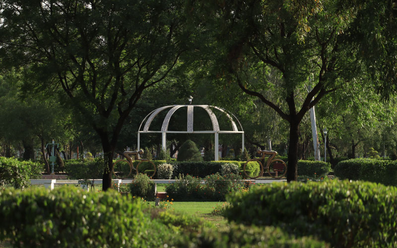 Servizi-Giardino-Horticultural.jpg